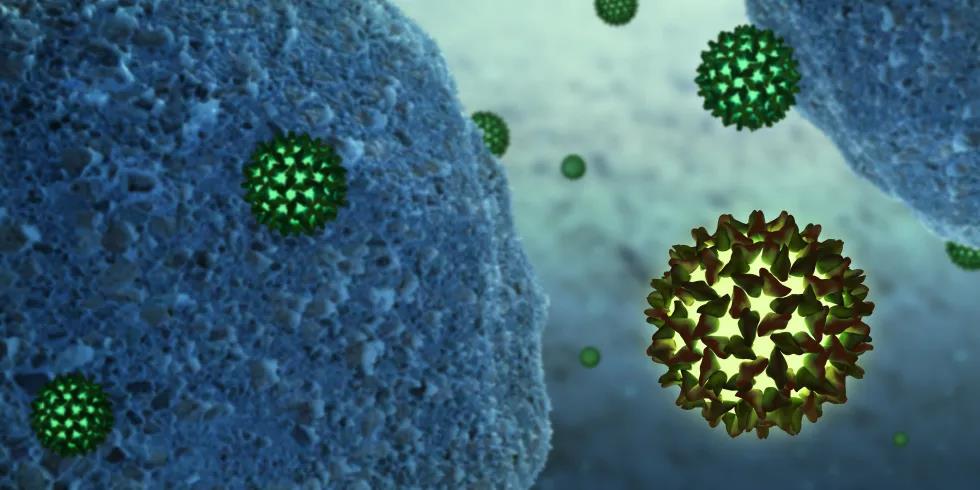 为什么了解病毒颗粒大小如此重要？